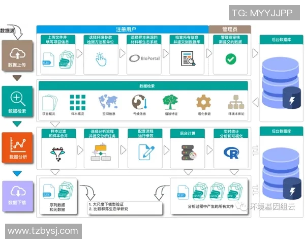 实况足球球星数据库深度解析与玩家数据分析指南
