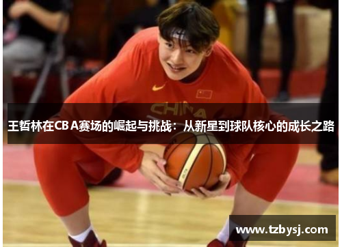 王哲林在CBA赛场的崛起与挑战：从新星到球队核心的成长之路